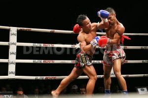 1349869035-elite-boxing--challenger-vs-asia-muay-thai-2012_1513230